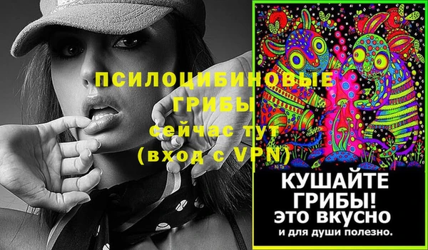 стаф Семикаракорск