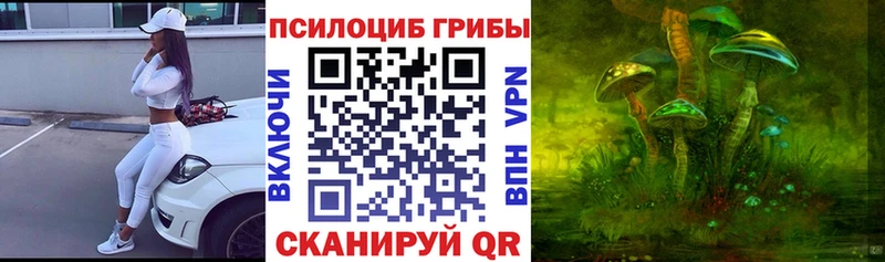 hydra ССЫЛКА  Бронницы  маркетплейс наркотические препараты  как найти   Галлюциногенные грибы MAGIC MUSHROOMS 